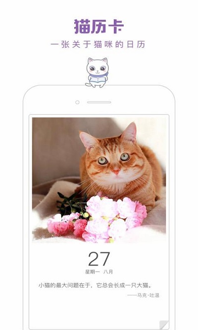 一日猫免费版宣传图2
